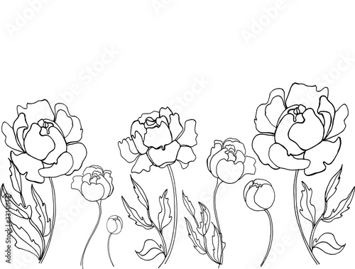 Peonies flower hand drawing line art nature tattoo petal design pion plant illustration romantic sketch spring summer vector leaf floral garden graphic decoration botanical