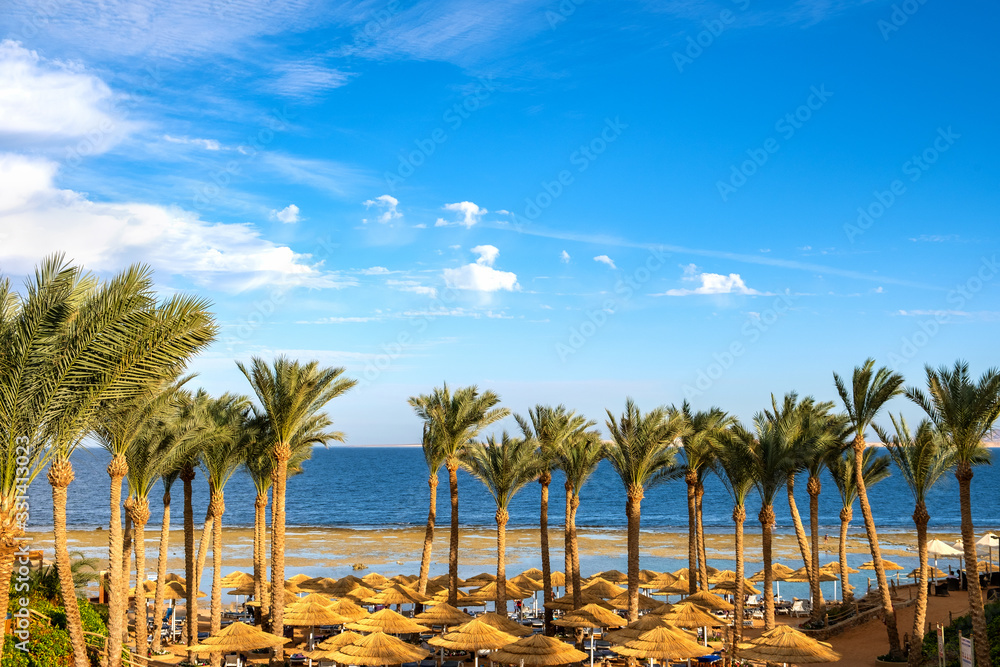 Straw shade umbrellas and fresh green palm trees in tropical region against blue vibrant sky and distant ocean water in summer.