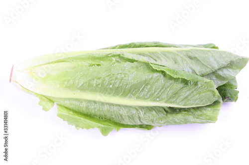 Cos Lettuce isolated on White Background 