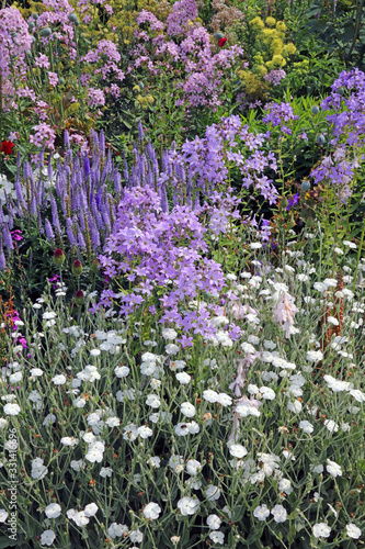 Photos View of an English herbaceous border