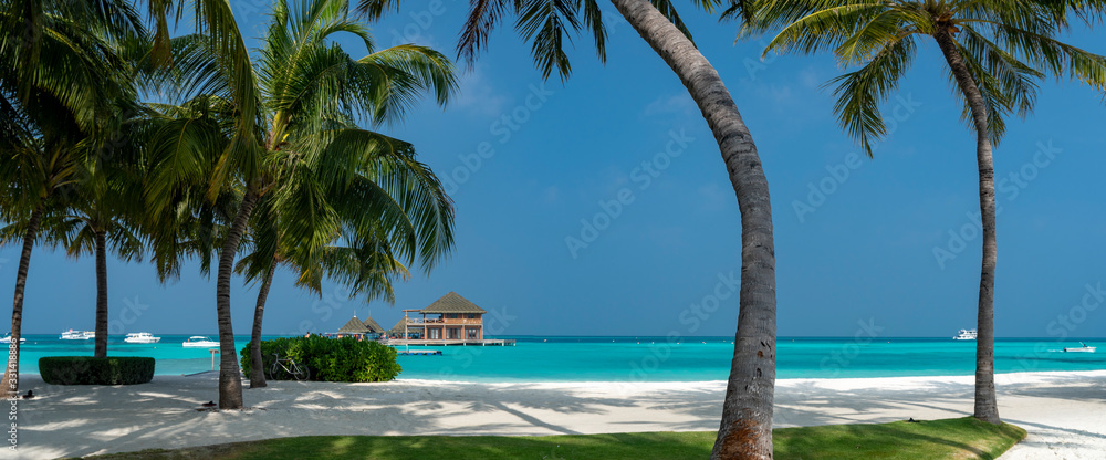 Naklejka premium Sandy beach of tropical island in the Maldives