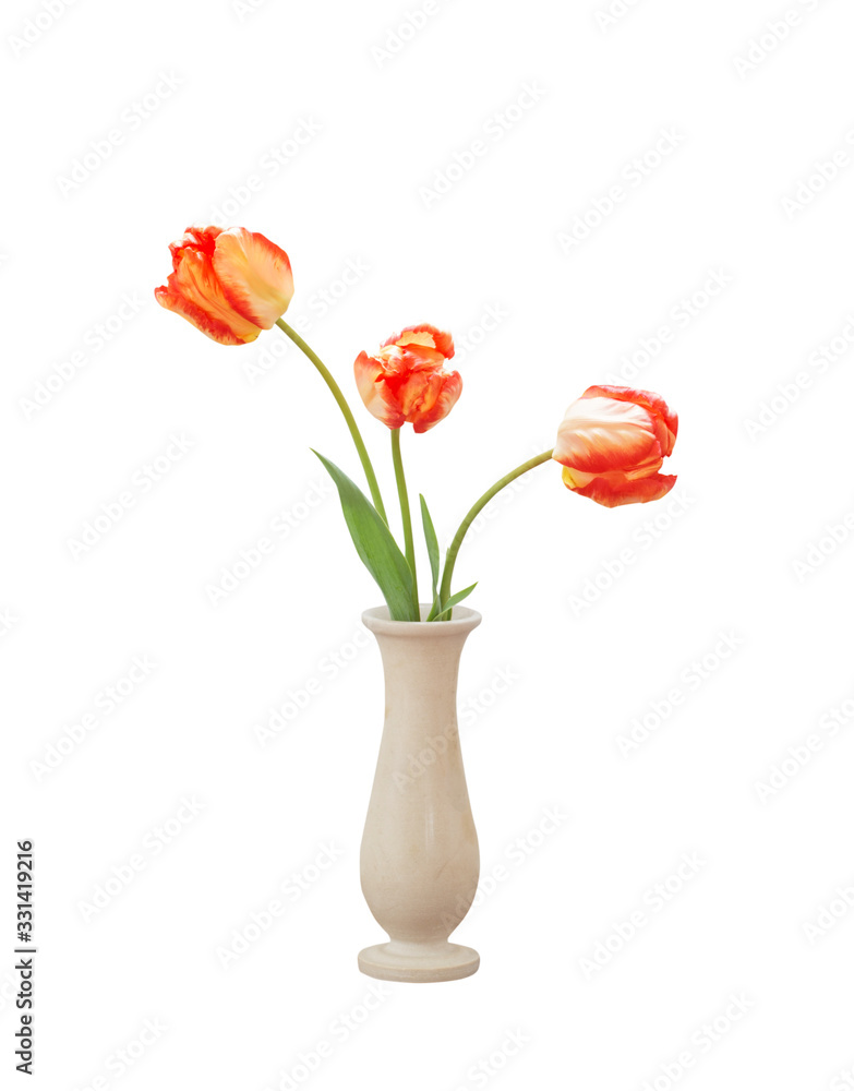 tulips in vase isolated on white background tulips in vase isolated on white background