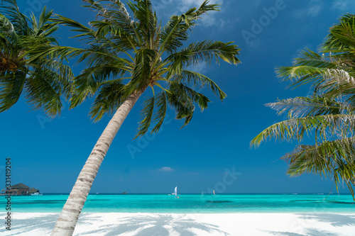 Sandy beach of tropical island in the Maldives