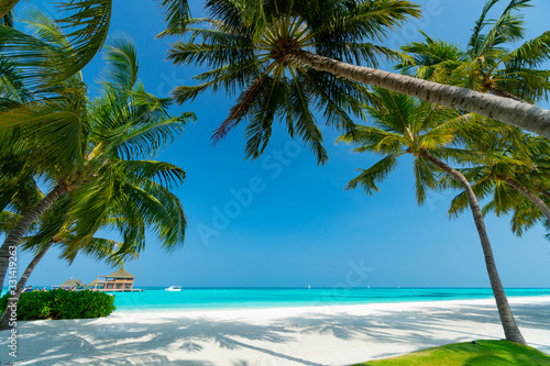 Sandy beach of tropical island in the Maldives © s4svisuals