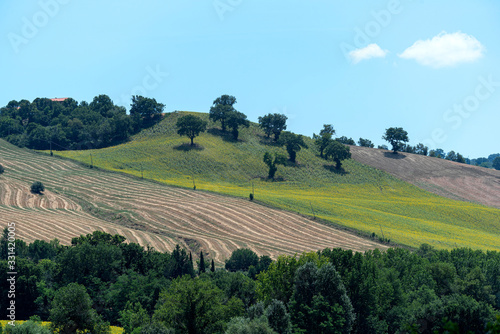 Rural landscape near Treia, Marches photo