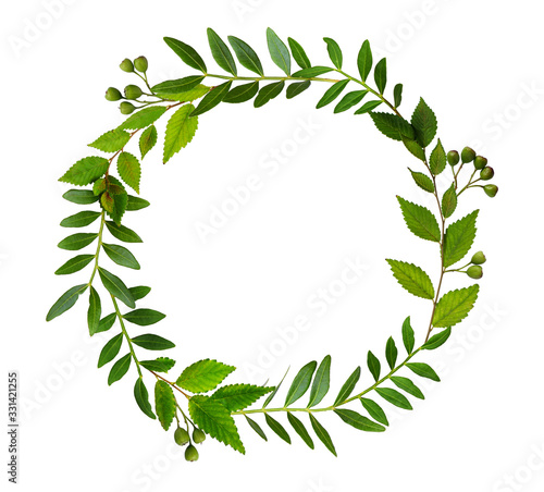 Fresh twigs with green leav...