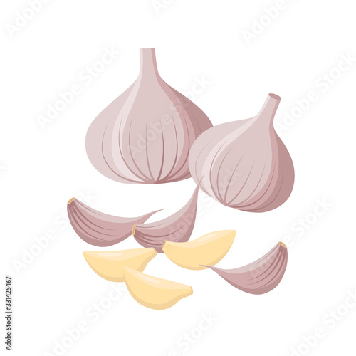 Garlic isolated on white background. Vector illustration. Garlic Bulbs and cloves in flat design isolated on white background.