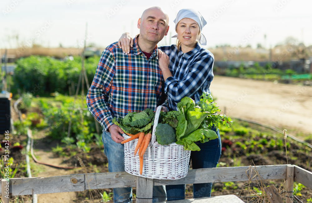 Obraz premium Joyful couple with a basket of vegetables in the garden