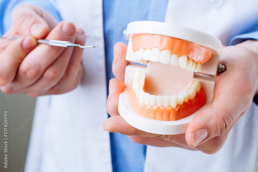 Dentist showing jaw model and dentist tool closeup. Dentist showing jaw model and dentist tool closeup.