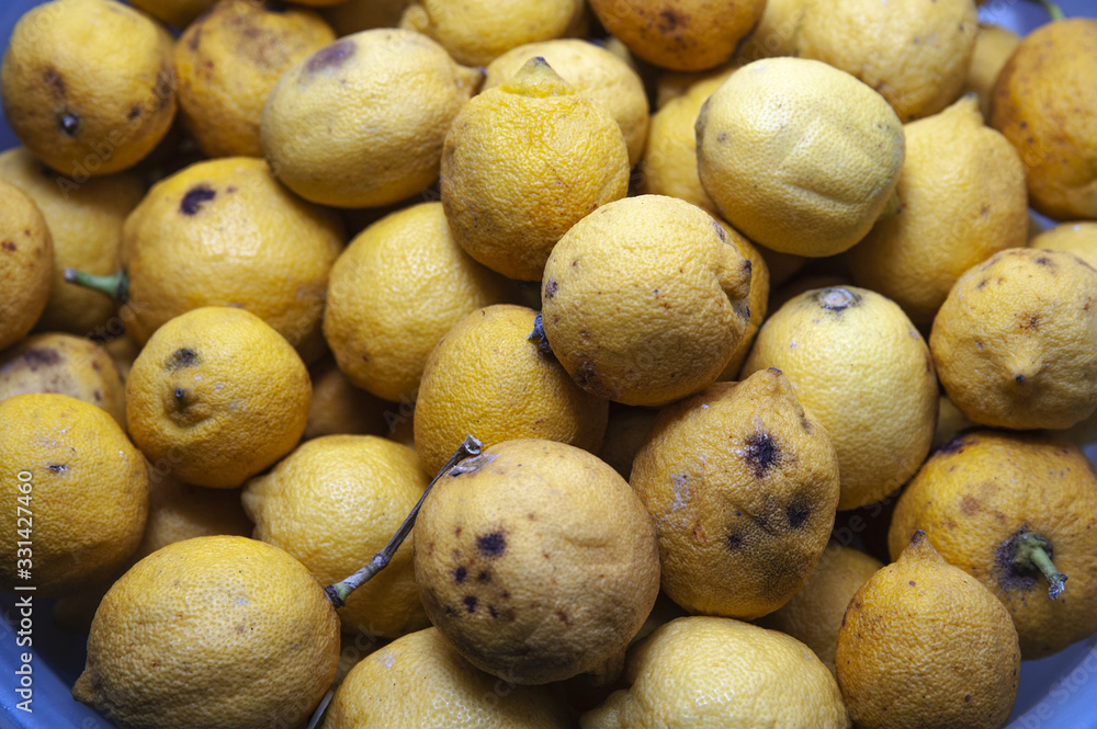 fruit composition of unripe lemons fruit composition of unripe lemons