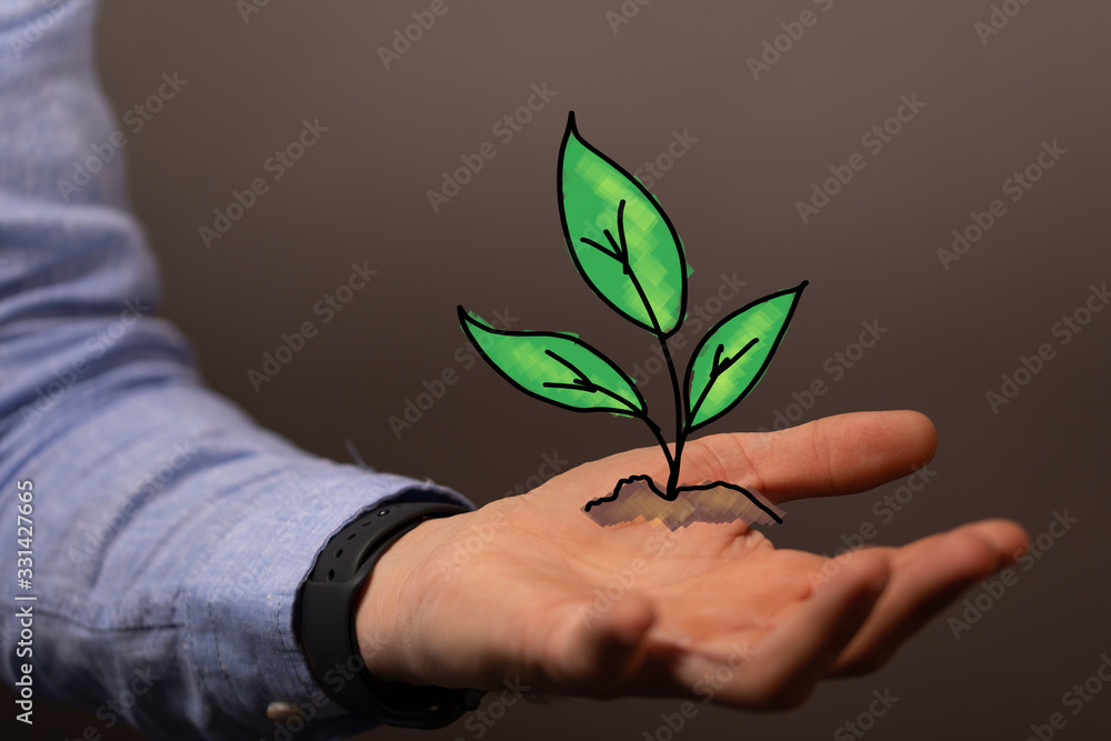 green plant growing up digital green plant growing up digital