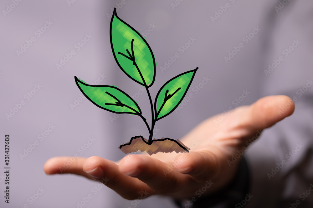 green plant growing up digital green plant growing up digital