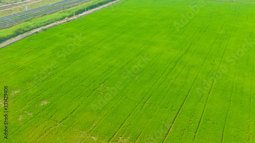  field background, top view landscape, nature