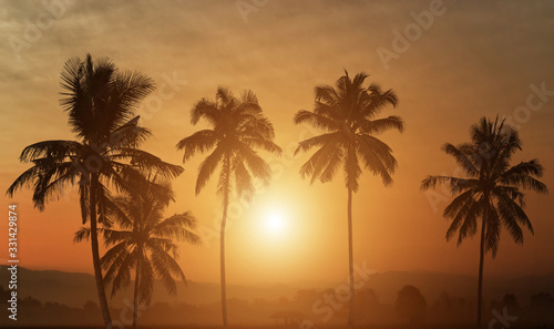 Silhouette of palm trees at sunset background.