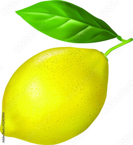 Ripe lemon with a leaf. Vector.