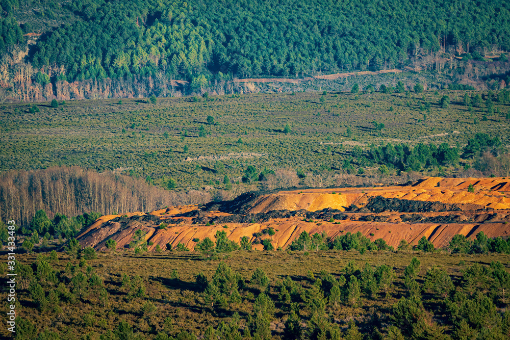 Fototapeta premium Slate mine in the wild with pine tree forest