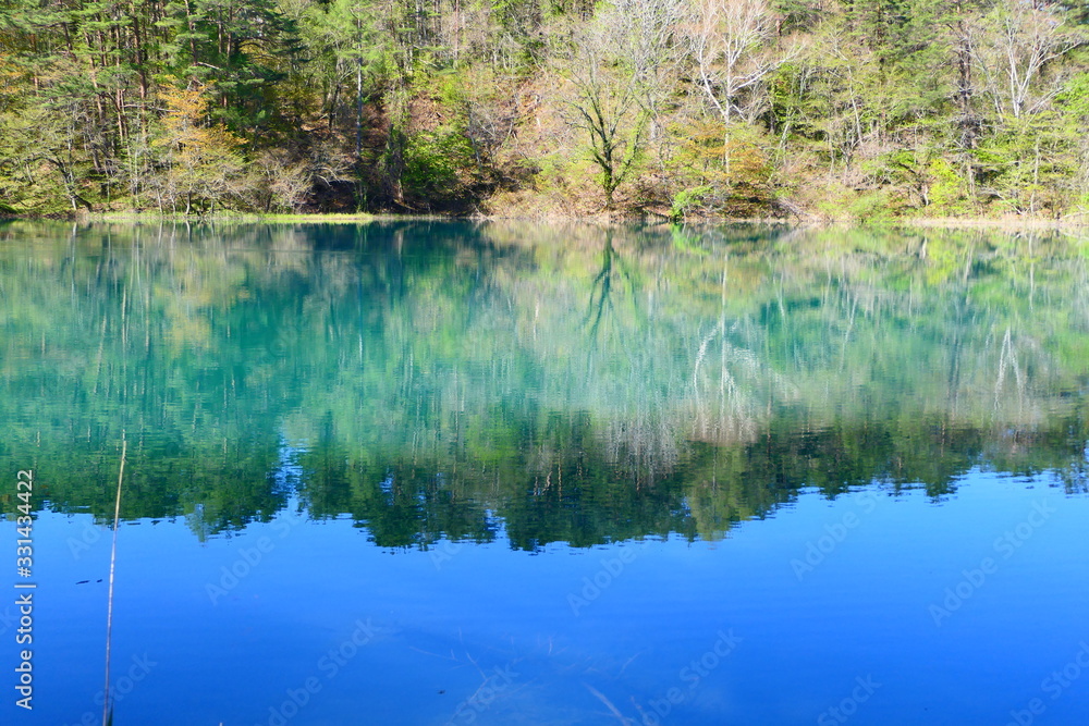 新緑の五色沼湖沼群、弁天沼。磐梯朝日国立公園。北塩原、福島、日本。5月中旬。
