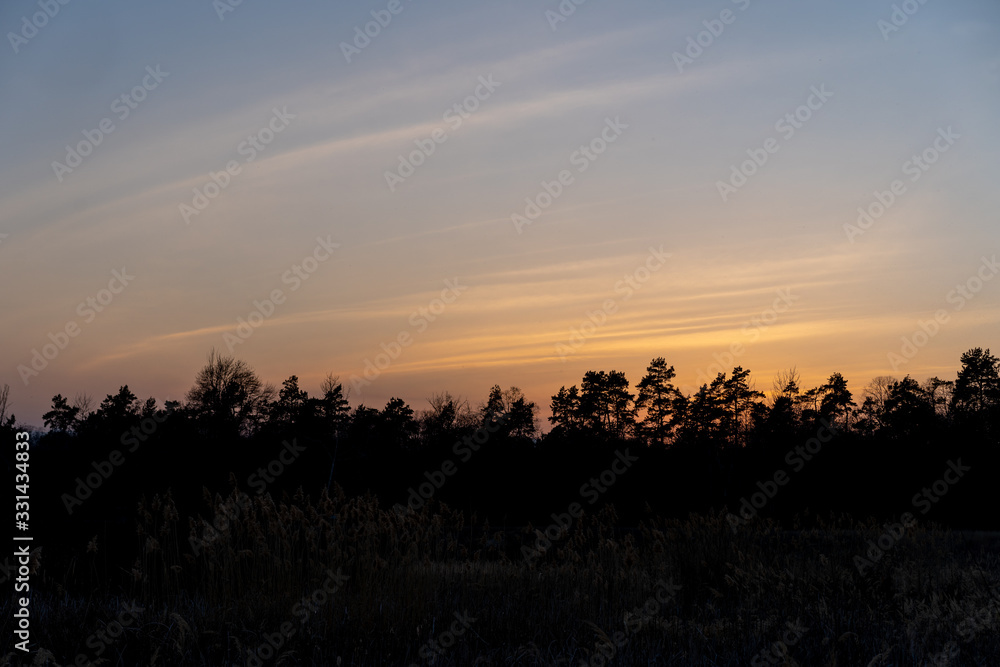 Landscape of sunset on the background of the forest