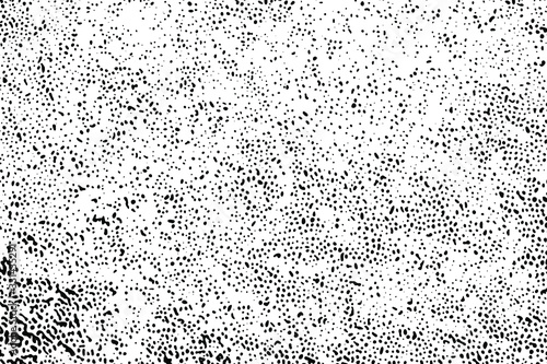 Natural texture of the porous lower part of the mushroom cap. Monochrome halftone background of a tubular mushroom hymenophore. Overlay template. Vector illustration photo