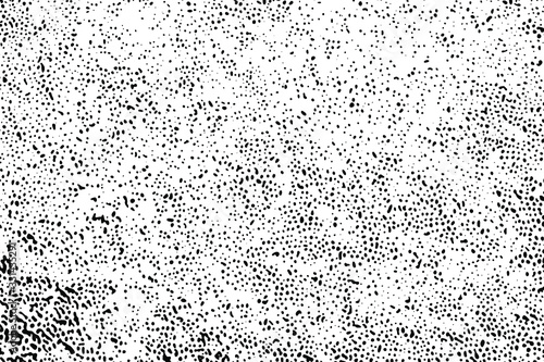 Natural texture of the porous lower part of the mushroom cap. Monochrome halftone background of a tubular mushroom hymenophore. Overlay template. Vector illustration