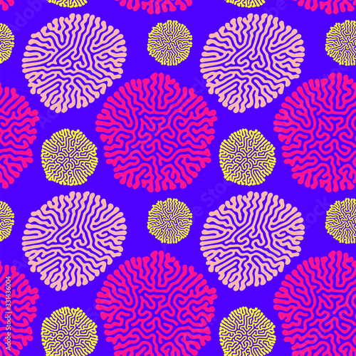 turing morphogenesis reaction diffusion pattern.