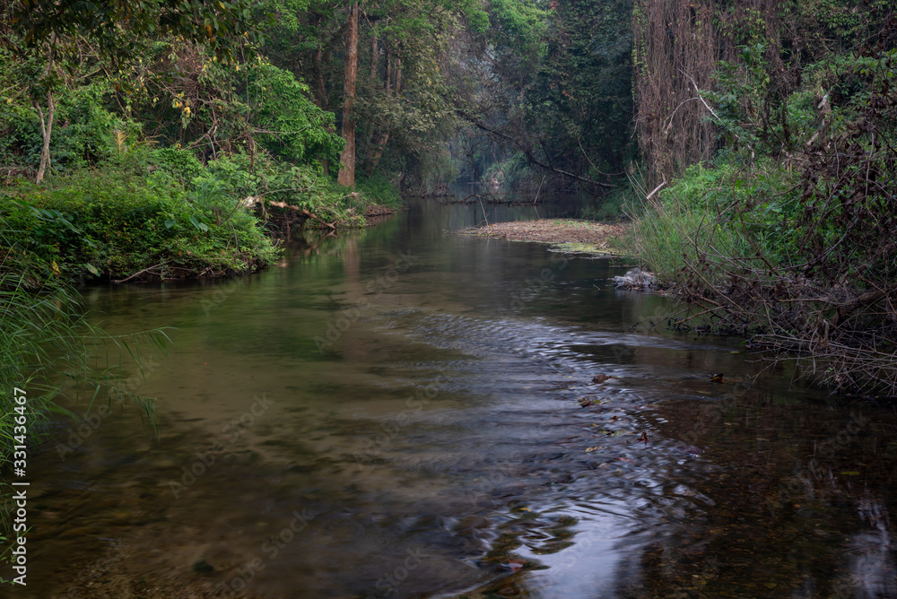 beautiful water stream in the forest beautiful water stream in the forest