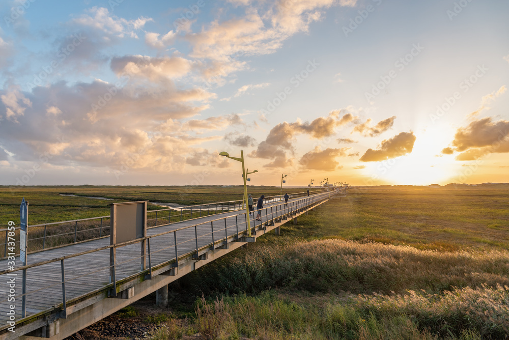 Landscape with salt marshes and pier of St Peter-Ording