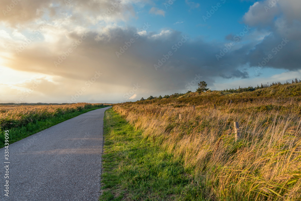 Hiking and cycle path through the salt marshes near St Peter-Ording