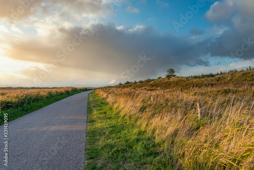 Hiking and cycle path through the salt marshes near St Peter-Ording