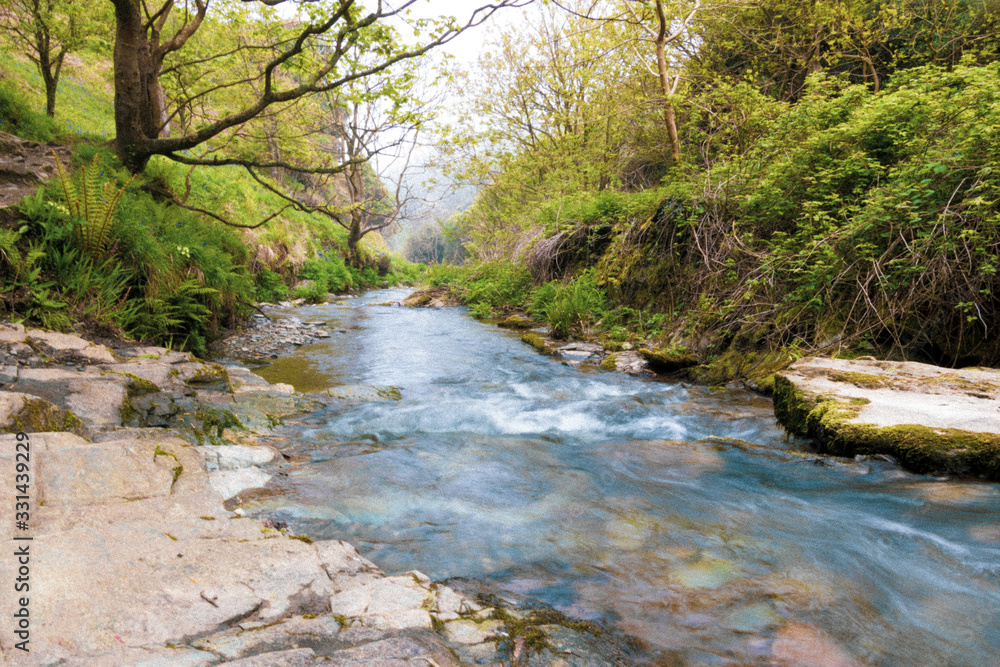 Obraz premium river in the forest