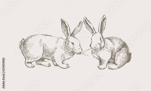 Two hand-drawn cute rabbits pets pets on a light background. White hares are wild forest animals. Vintage vector illustration.