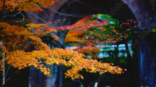4k / 南禅寺(水路閣) 秋の紅葉 / 京都観光 / Momiji Autumn leaves in Kyoto Nanzenji Suirokaku / japan 日本
