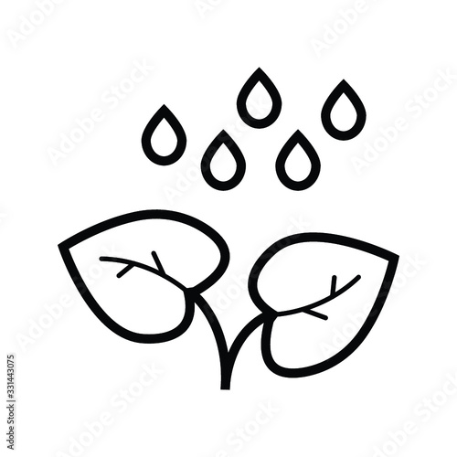 Mint leaf with drop of water