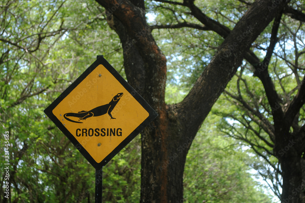 Lizard crossing sign