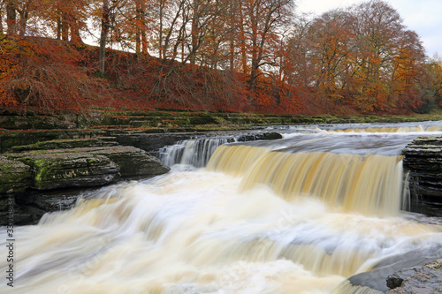Aysgarth Lower Falls with autumn colours, Yorkshire Dales 