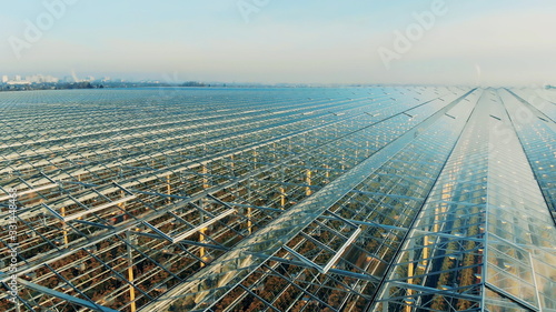 Outside view of greenery units with glasslike ceiling. Greenhouses aerial view, epic view on industrial glasshouse.
