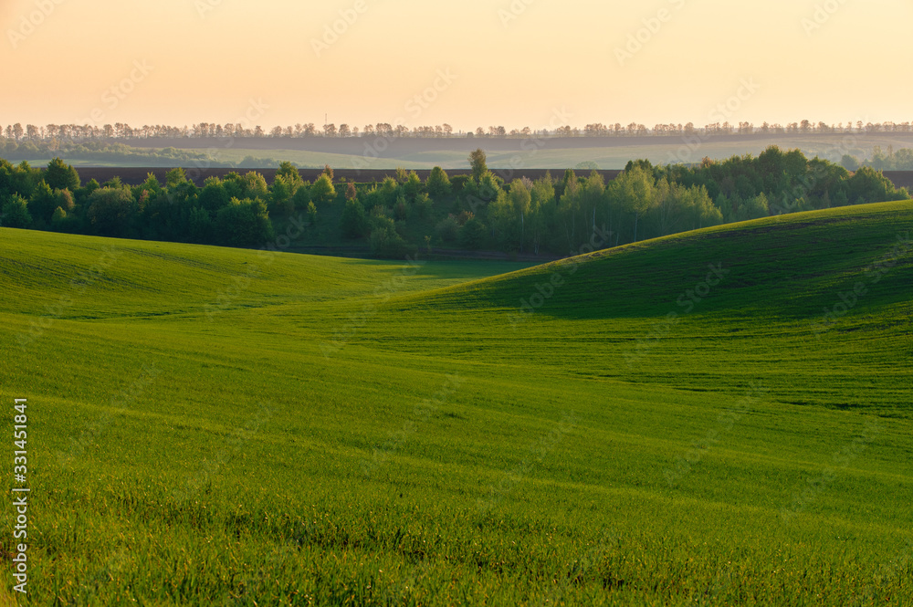  green field in spring