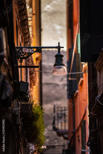 the lonely lamp in the streets of Venice surrounded by the old houses with beautiful colors and a blurred background 