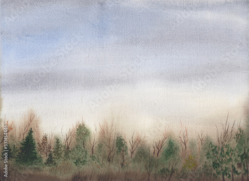 Hand painted watercolor landscape of morning forest with cloudy sky made with natural colors. Great for posters, backgrounds and postcards decoration. Detailed illustration of trees, spruces and grass