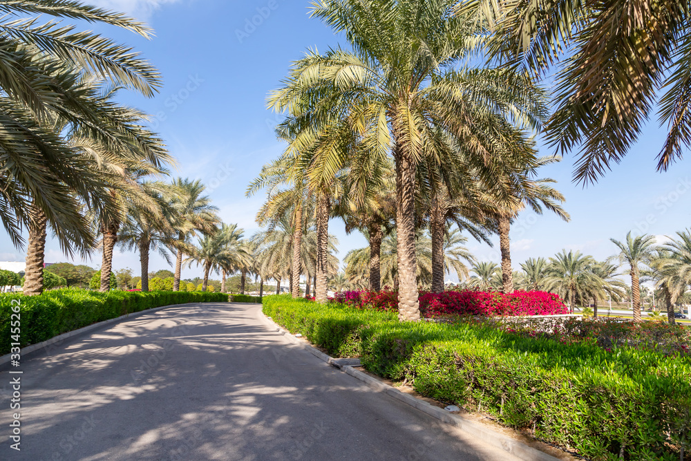 Green park with walkway in Abu Dhabi, UAE