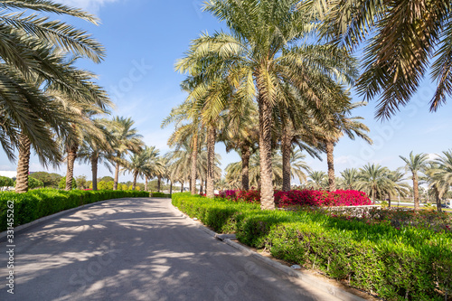 Green park with walkway in Abu Dhabi, UAE © Freelancer