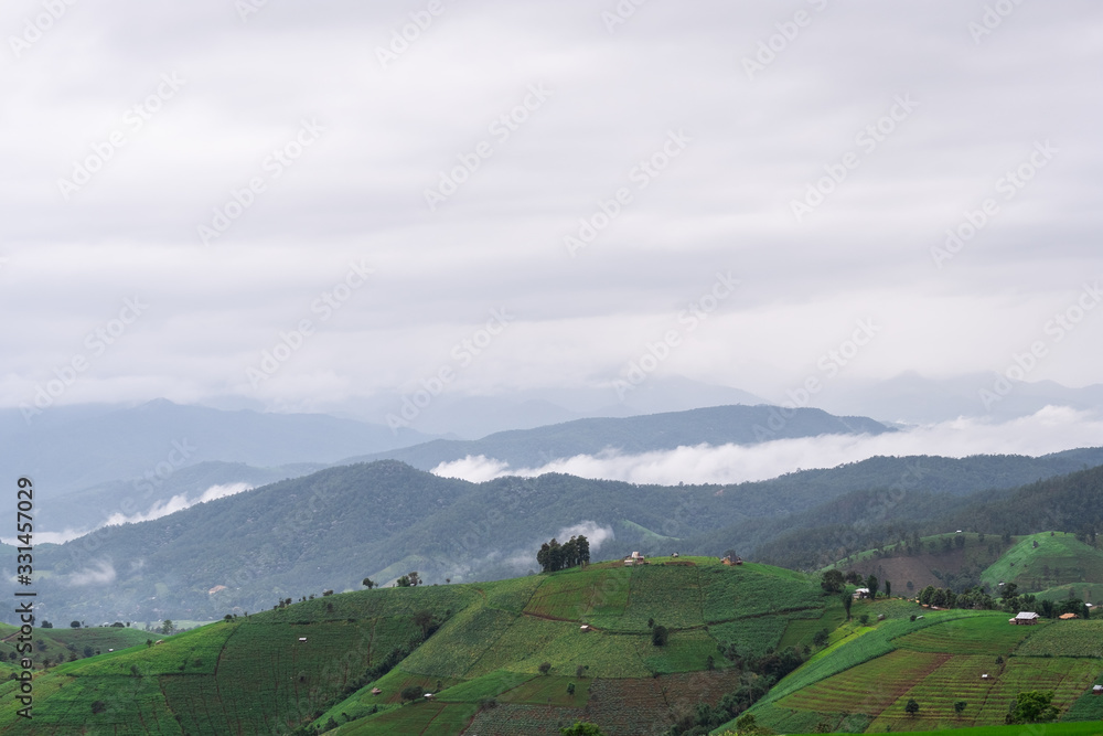 Rice fields beside the mountains in the north of Thailand during the rainy season Rice fields beside the mountains in the north of Thailand during the rainy season