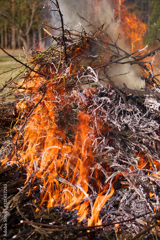 Burning bonfire and gray ashes from dry branches and grass. Spring seasonal garden work. Burning bonfire and gray ashes from dry branches and grass. Spring seasonal garden work.