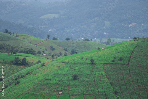 Rice fields beside the mountains in the north of Thailand during the rainy season