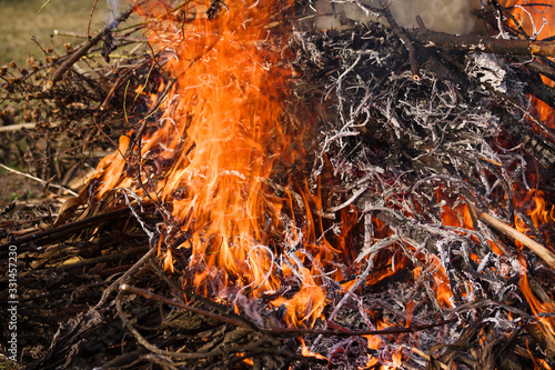 Burning bonfire and gray ashes from dry branches and grass. Spring seasonal garden work.
