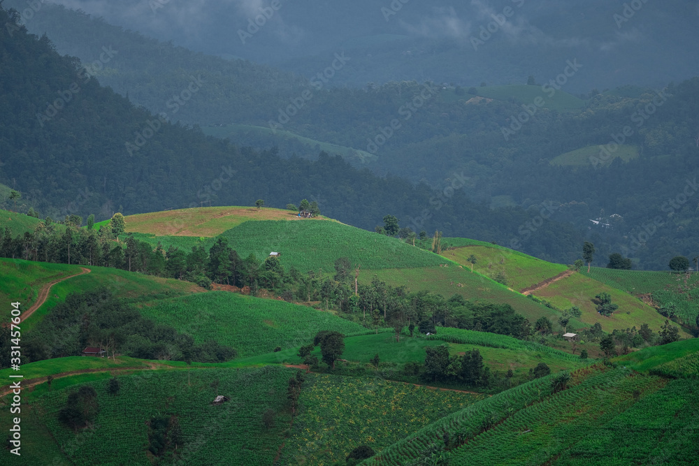 Rice fields beside the mountains in the north of Thailand during the rainy season Rice fields beside the mountains in the north of Thailand during the rainy season