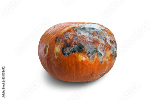 Yellow moldy pumpkin isolated on a white background