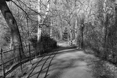 Black and White Photo of an Empty Path at Riverside Park in Morningside Heights of New York City photo