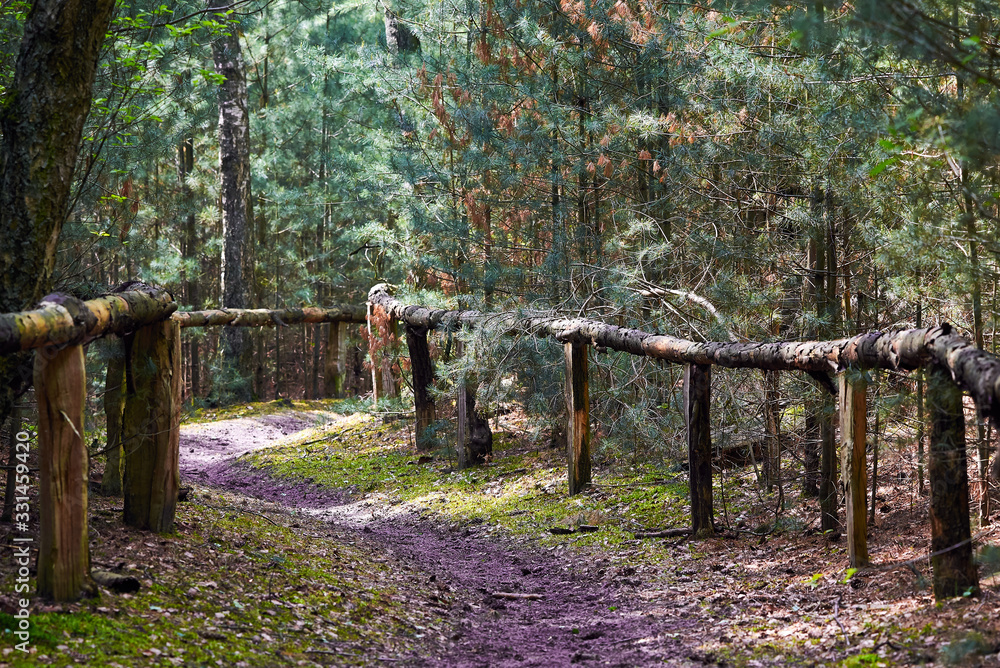 Horse Path in Tevener Heide Natural Park in Spring , Germany, North Rhine-Westphalia Horse Path in Tevener Heide Natural Park in Spring , Germany, North Rhine-Westphalia