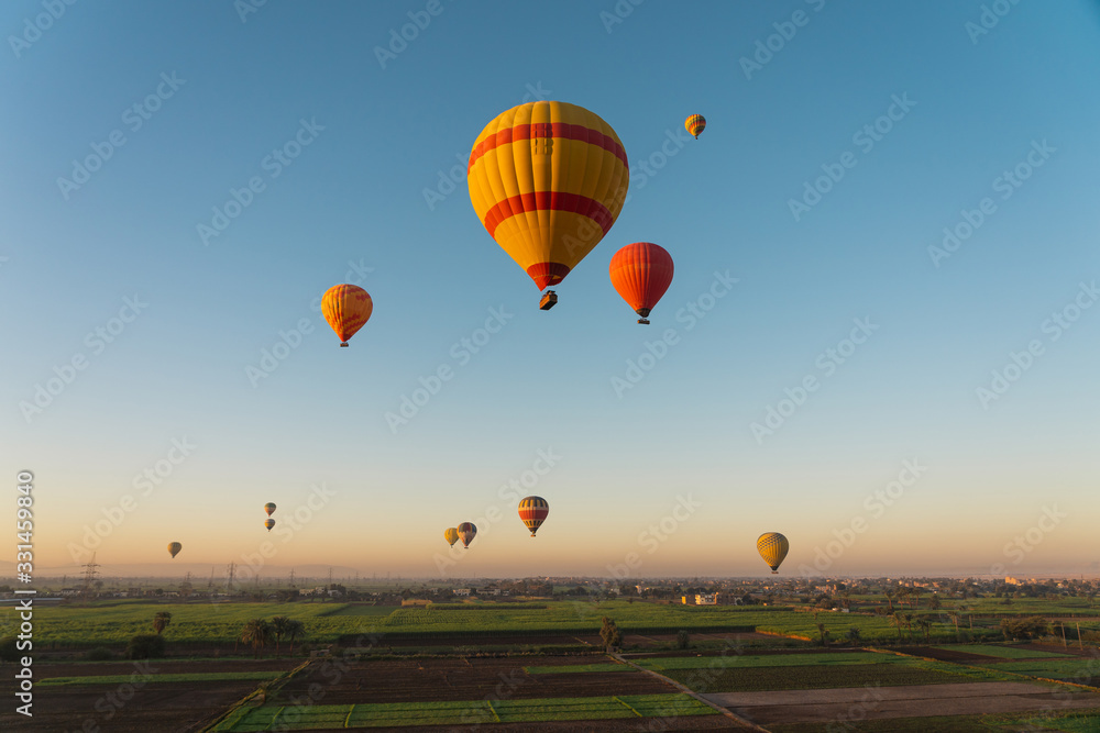 Obraz premium Hot air Balloons above Luxor city in a morning sunrise, Egypt
